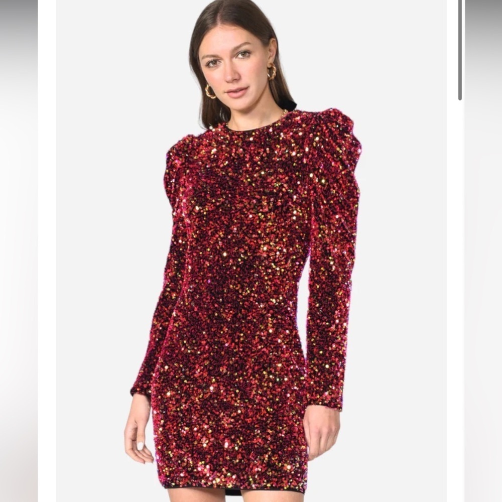 Adelyn Rae Gale Velvet Sequins Puff Sleeve Mini Dress in Raspberry Punch Small